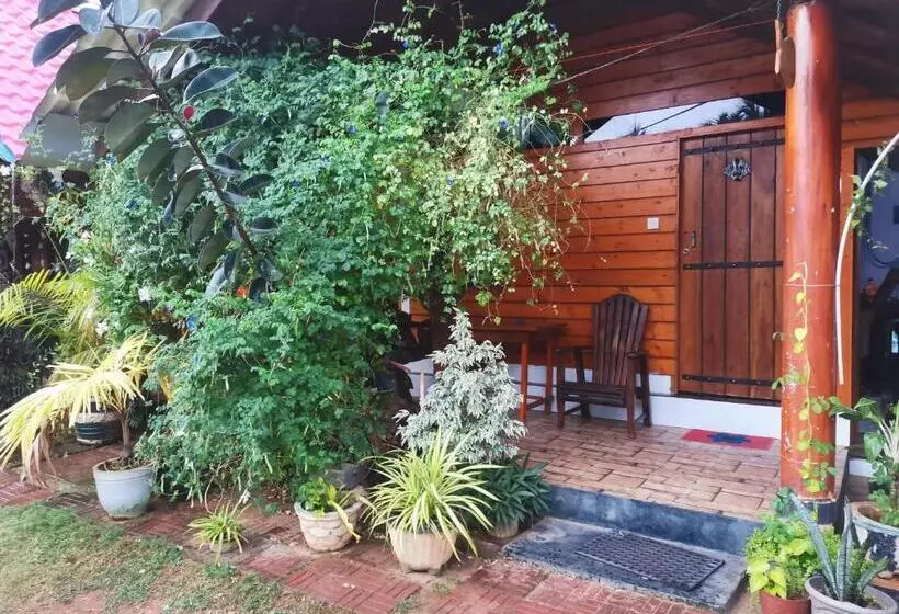 ホテル Dot Bey Beach Cabana