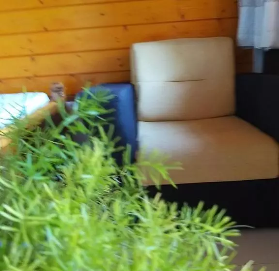 ホテル Dot Bey Beach Cabana