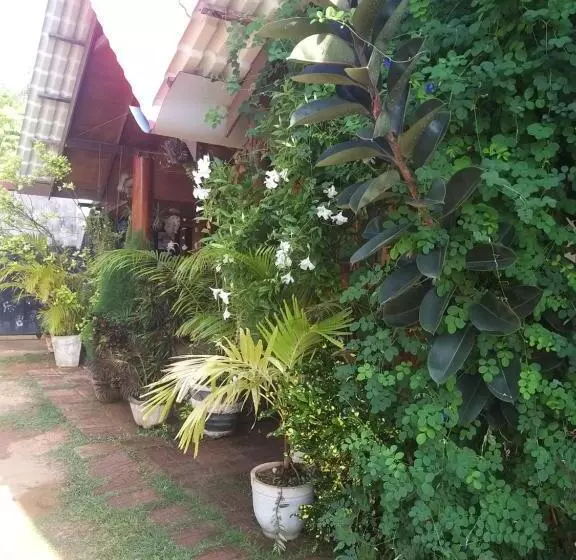 ホテル Dot Bey Beach Cabana