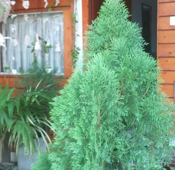 ホテル Dot Bey Beach Cabana