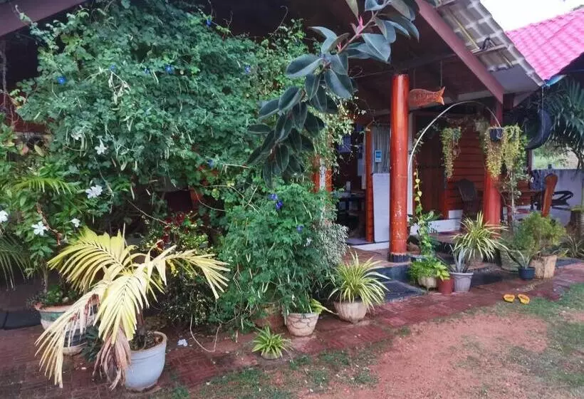 ホテル Dot Bey Beach Cabana