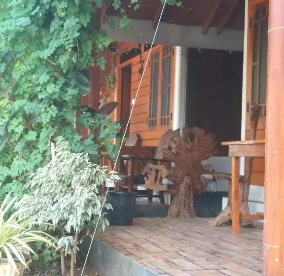 ホテル Dot Bey Beach Cabana