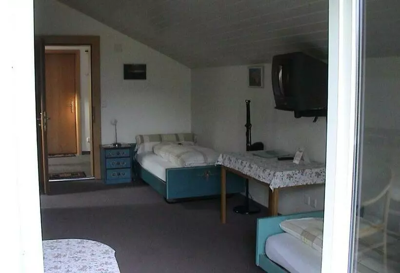 Panorama Hotel Freudenberg