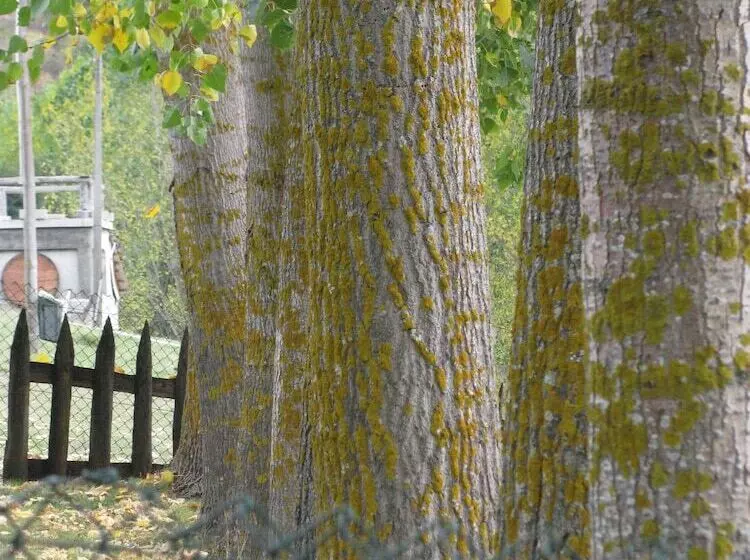 ホテル A. Montesinho Turismo