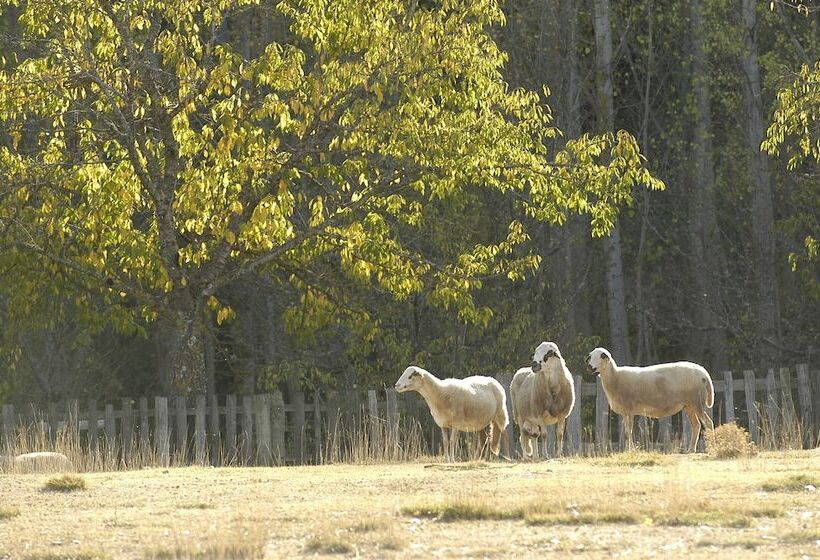فندق A. Montesinho Turismo