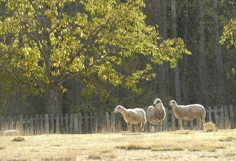 ホテル A. Montesinho Turismo