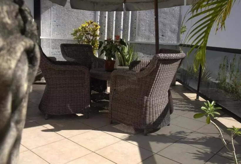 호텔 Casa Petunia Pousada Boutique