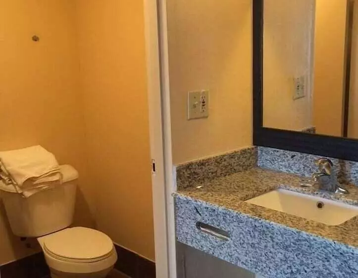 Отель Diamond Inn & Suites