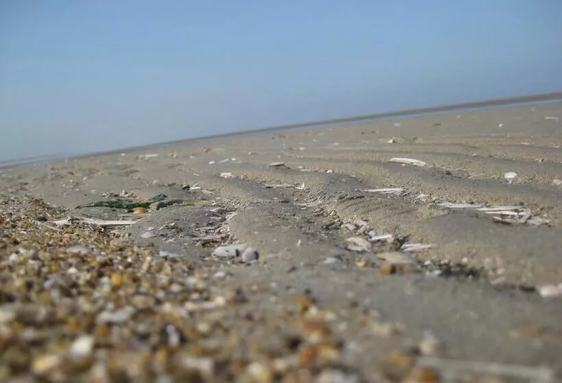 Fletcher Hotel Restaurant Duinzicht