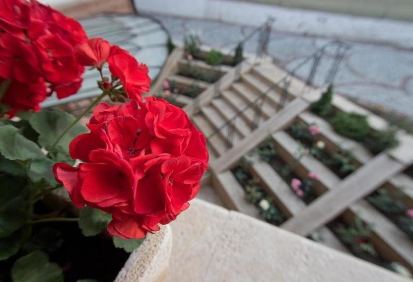 酒店 La Maison De Caroline