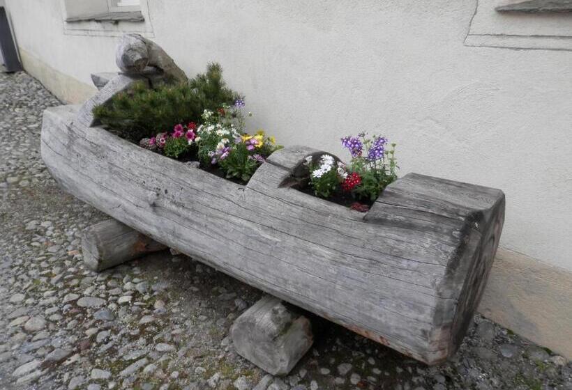 בית מלון כפרי Palazzo Mysanus Samedan