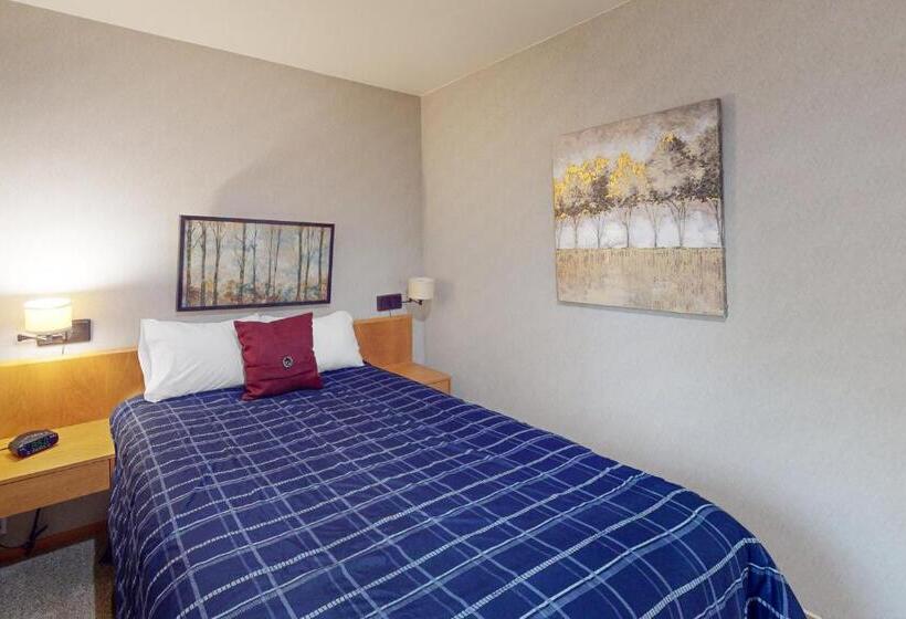 בית מלון כפרי River Bank Lodge