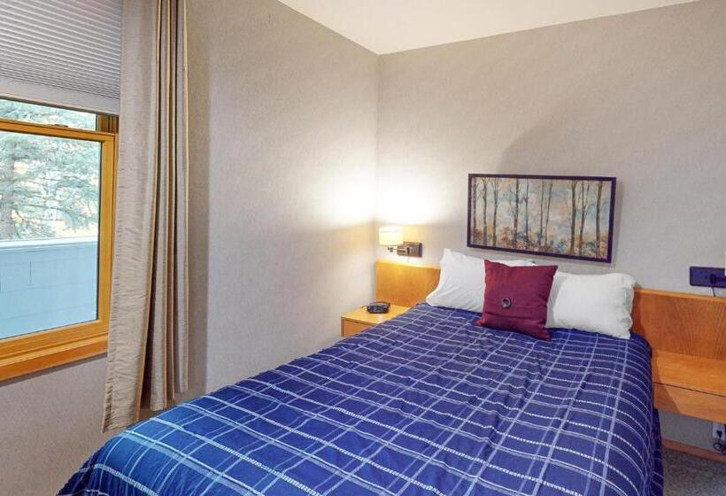 בית מלון כפרי River Bank Lodge