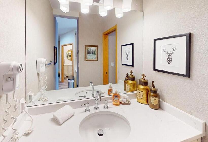 בית מלון כפרי River Bank Lodge