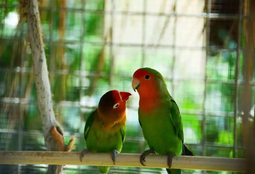 酒店 Sheraton Sanya Haitang Bay Resort