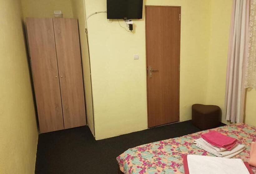 پانسیون Vila Vlad