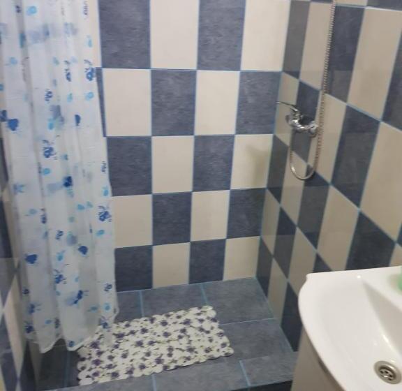 پانسیون Vila Vlad