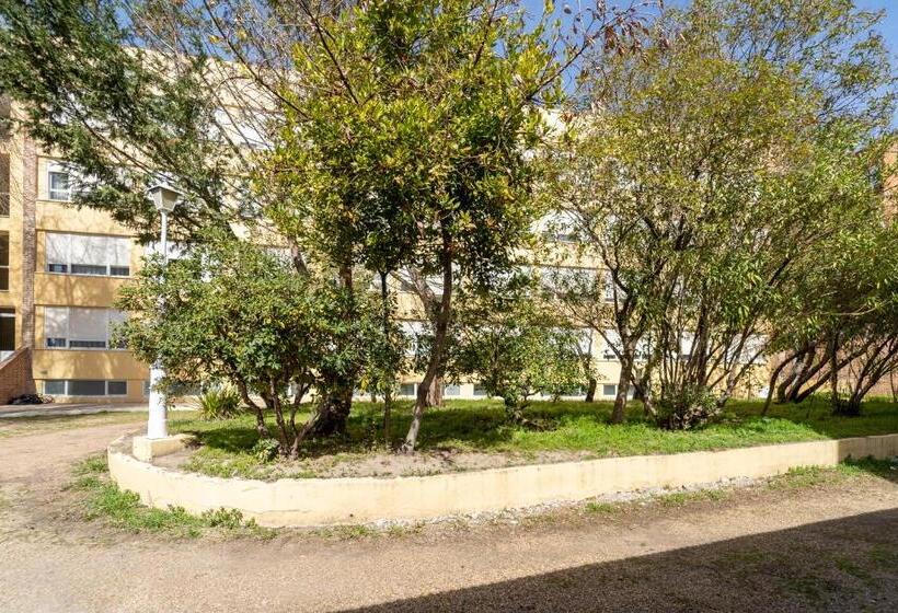 La Mota By Punta25 Hotels Group