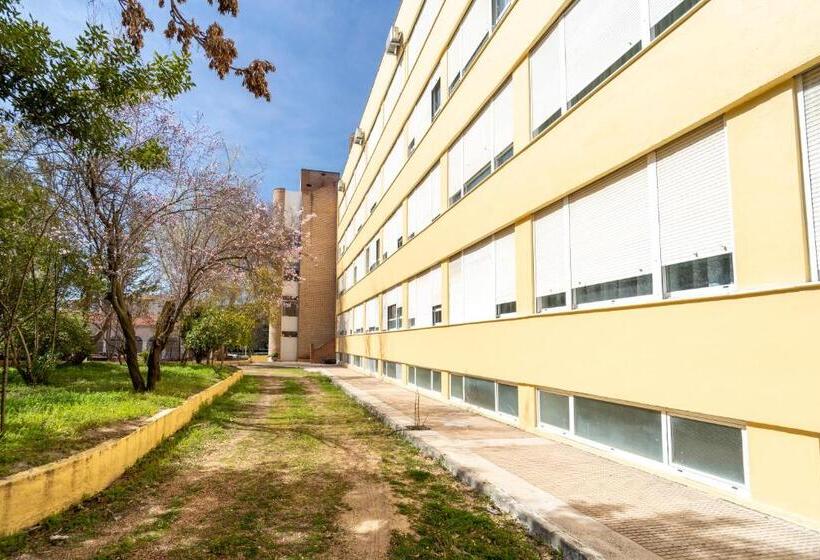 La Mota By Punta25 Hotels Group