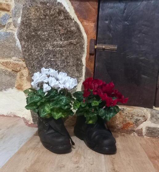 Un Tuffo Nel Passato B&b Santu Giuvanni