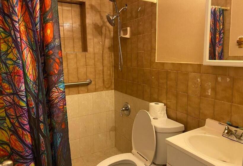 Schronisko Single Size Top Bunk Bed Mixed Shared