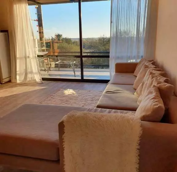 Apart Club San Pedro Pet Friendly