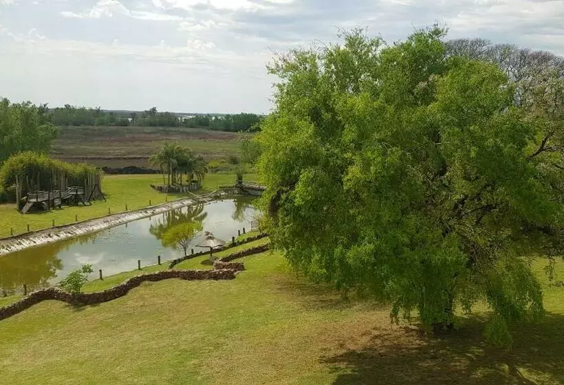 Apart Club San Pedro Pet Friendly