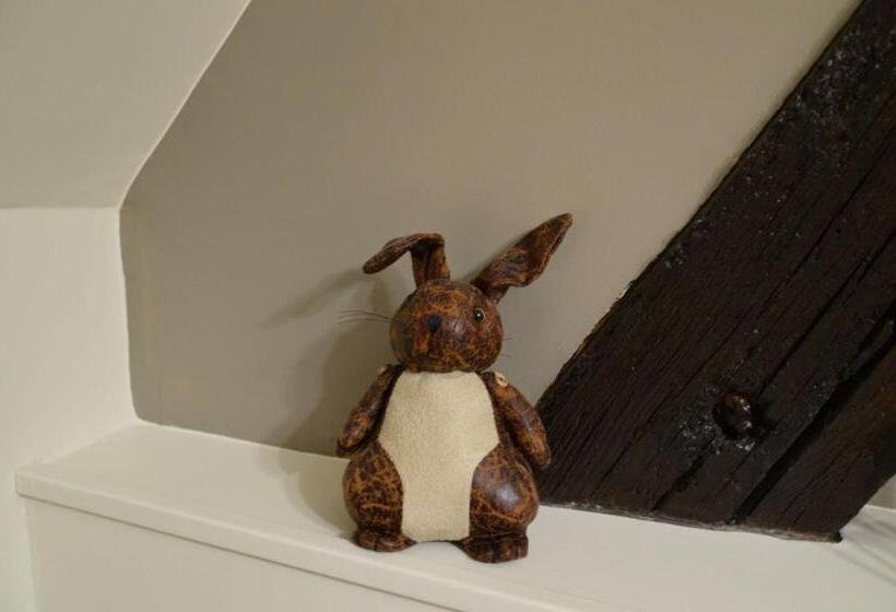 تختخواب و صبحانه La Maison De Triboulet Chambres Et Table D Hôtes  Amboise