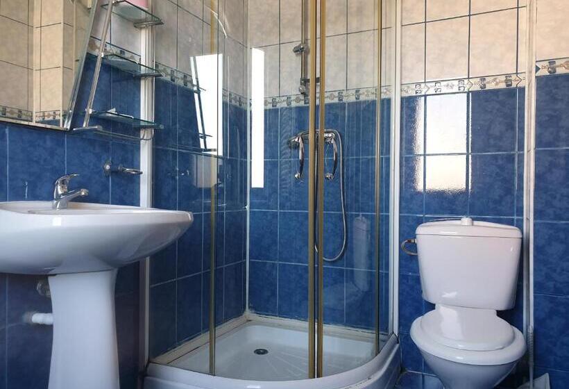 Bed and Breakfast Pensiunea Odn