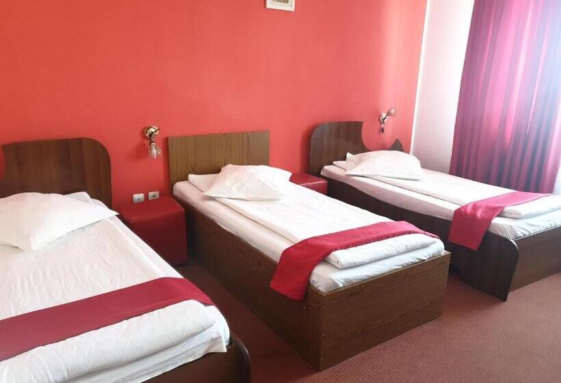 Bed and Breakfast Pensiunea Odn