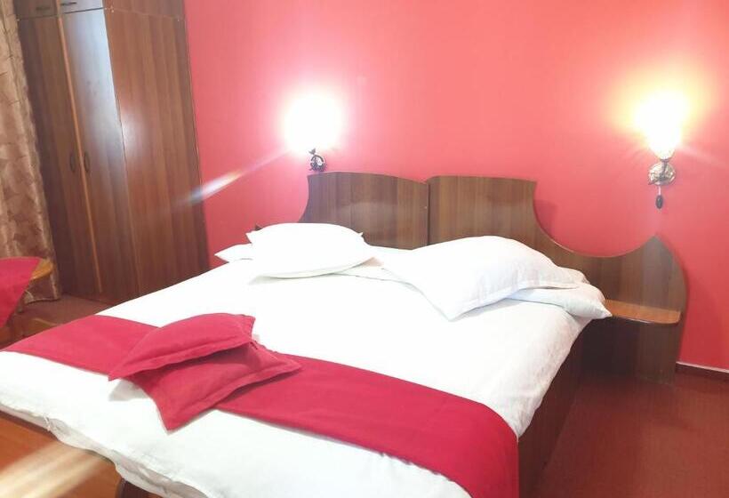 Bed and Breakfast Pensiunea Odn
