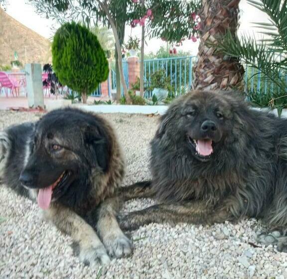 민박 Recovery Mountain Homestay