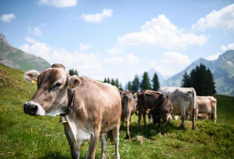 Das Verwall   Finest Serviced Apartments