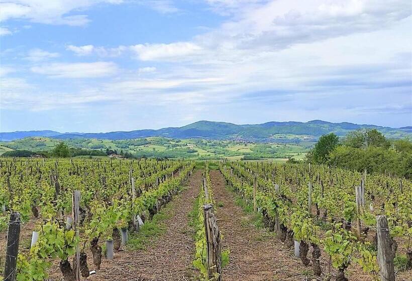 مبيت وإفطار Appartement Oingt Les Meublés Des Pierres Dorées