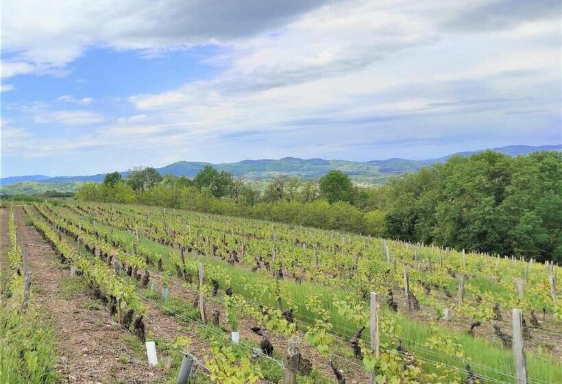 مبيت وإفطار Appartement Oingt Les Meublés Des Pierres Dorées