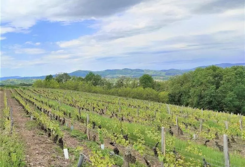 Aamiaismajoitus (B&B) Appartement Oingt   Les Meublés Des Pierres Dorées