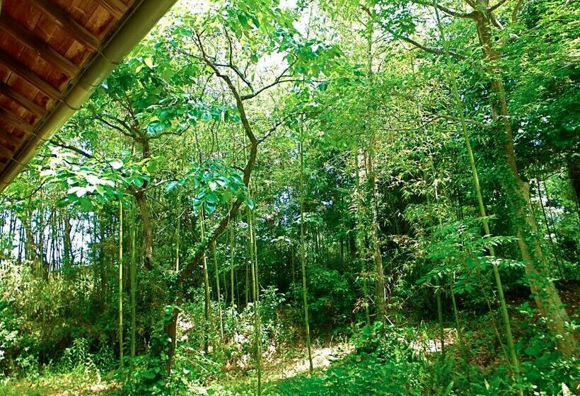 膳宿费 Kominka Sharehouse Hooju   Vacation Stay 10518