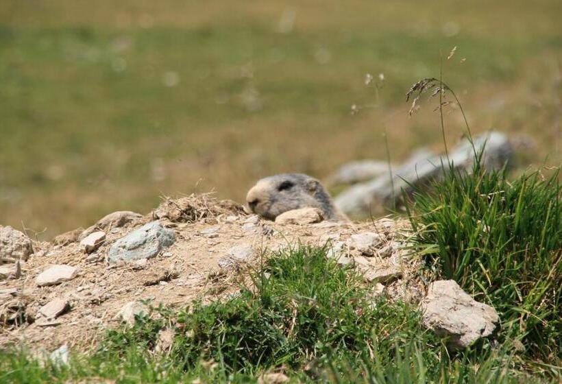 Apart Hotel Garni Alvetern