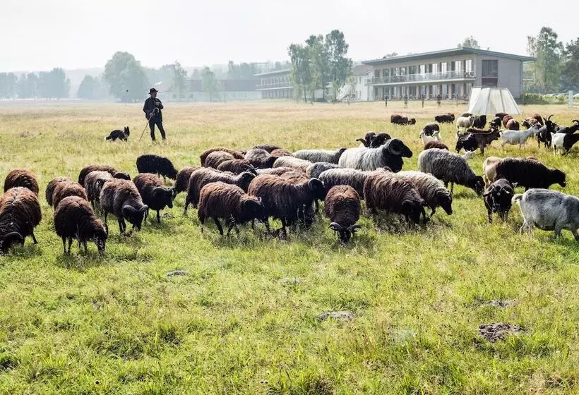 호텔 Camp Reinsehlen