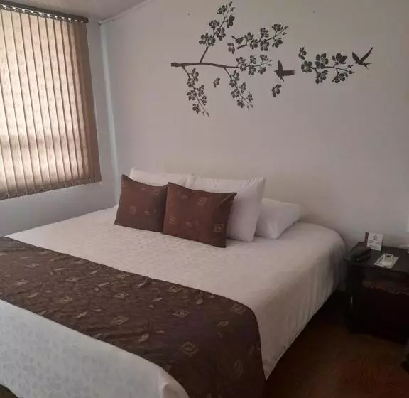 هتل Confort Bogota