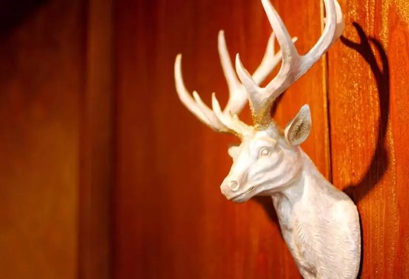 هتل Hellers Twenty Four I 24hcheckin