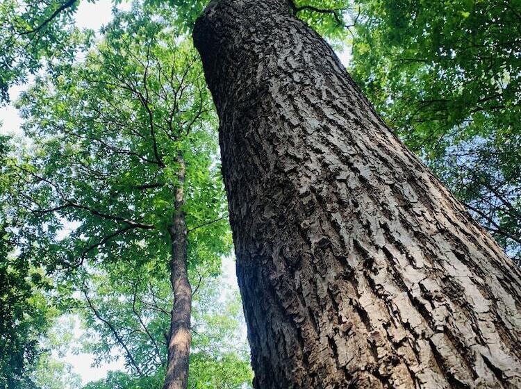 ホテル Landgoed Zonheuvel