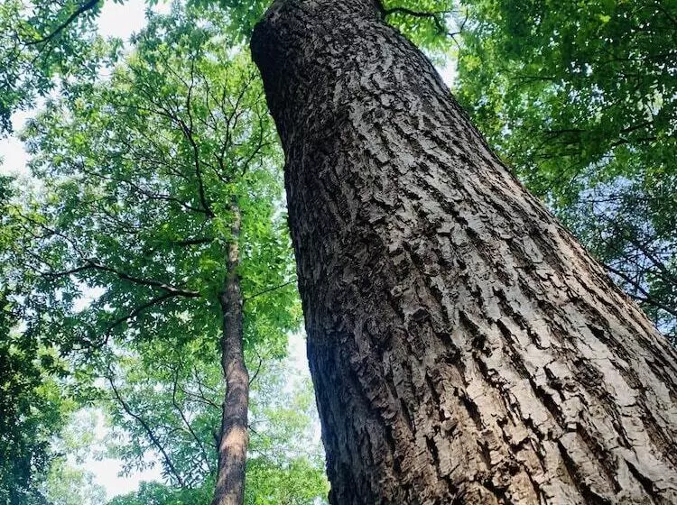 Отель Landgoed Zonheuvel