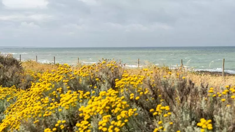 호텔 Logis Hôtellerie Les Brisants , Restaurant J M Perochon