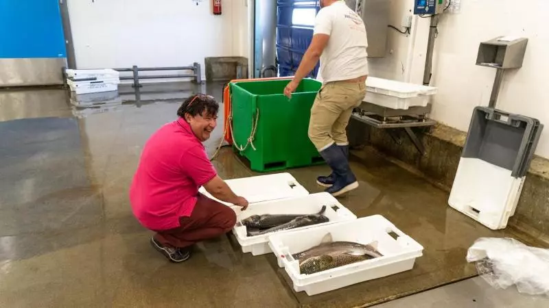 호텔 Logis Hôtellerie Les Brisants , Restaurant J M Perochon