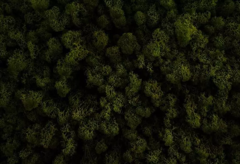 فندق Logement Overzee