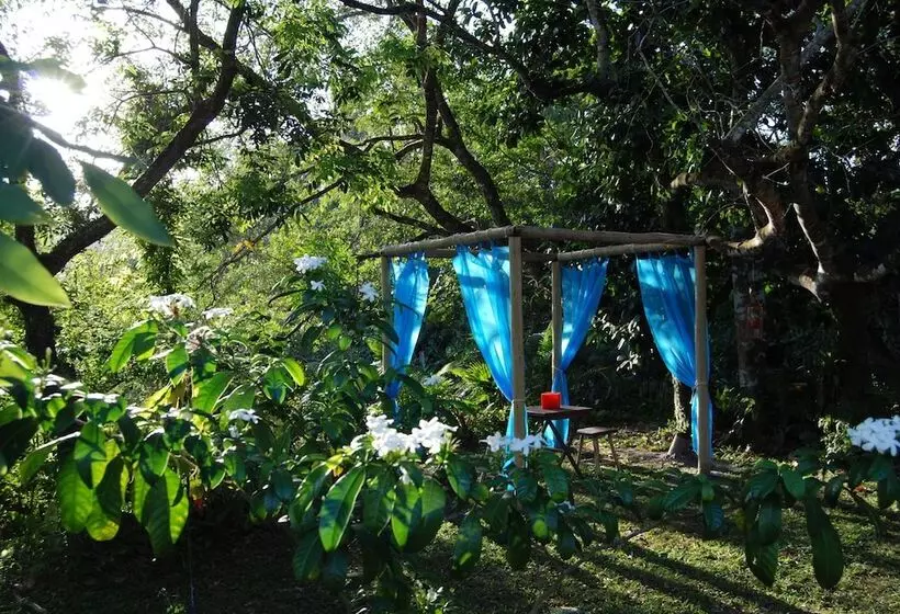 酒店 Mata N'ativa Pousada