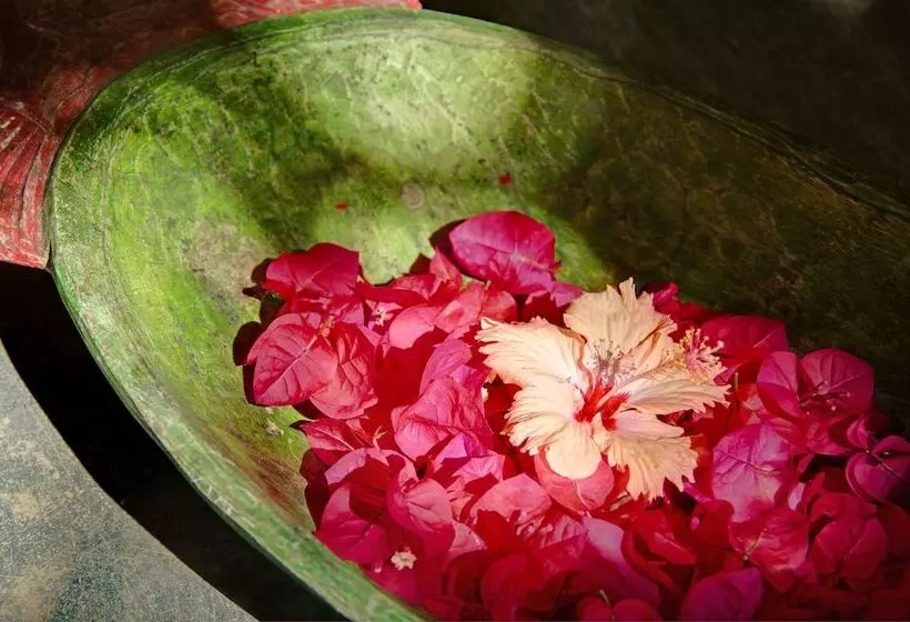 酒店 Mata N'ativa Pousada