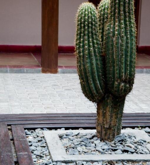 Munay Hotel Cafayate