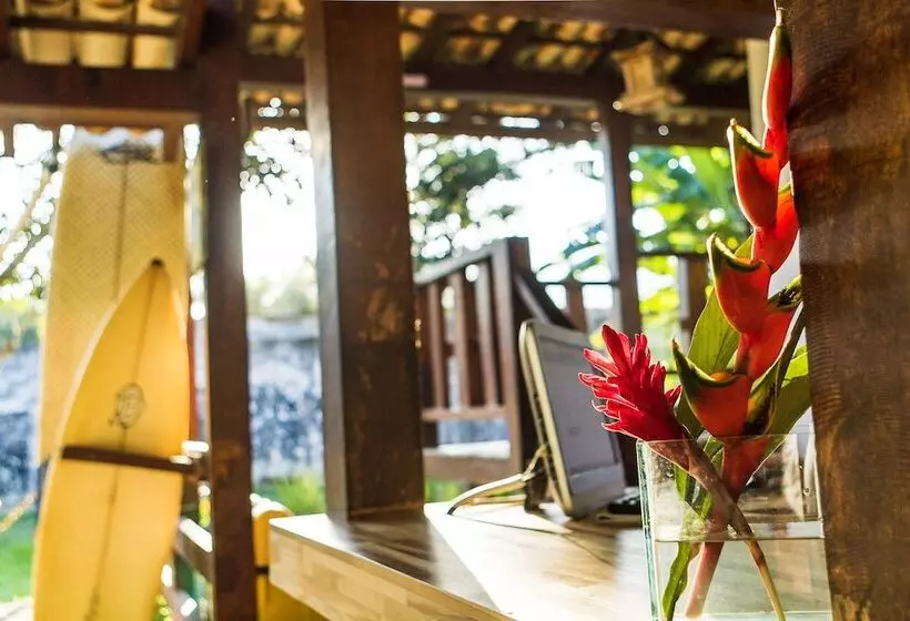 ホテル Pousada Tubes Hostel